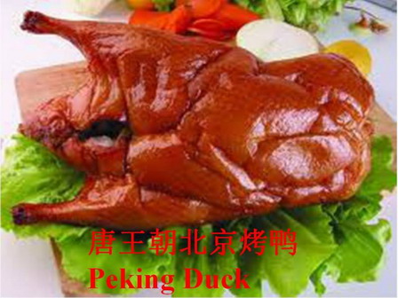 duck 1.jpg