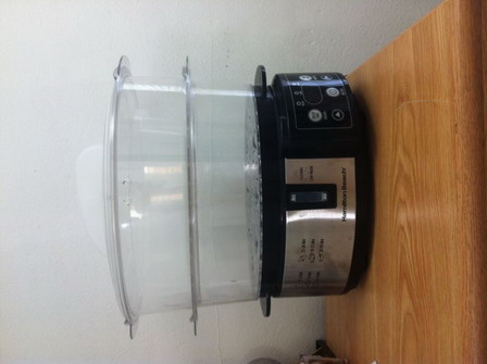 2. Hamilton Steamer.JPG