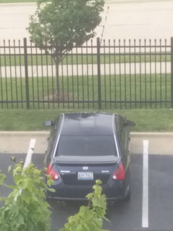 IMG_20150612_160543.jpg